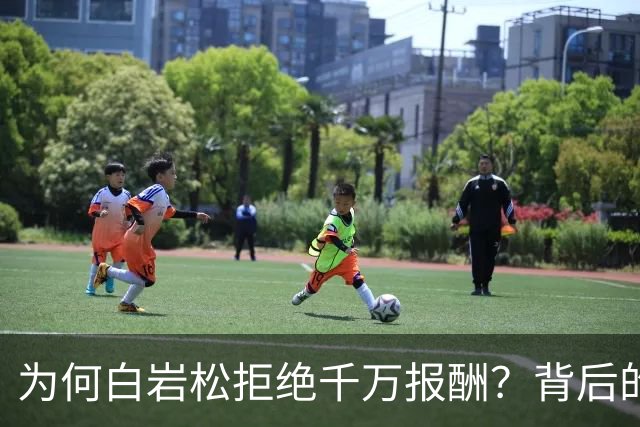 为何白岩松拒绝千万报酬？背后的选择与担当